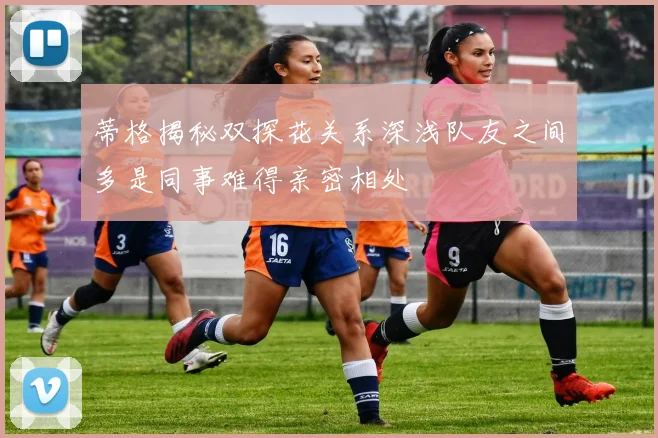 蒂格揭秘双探花关系深浅队友之间多是同事难得亲密相处